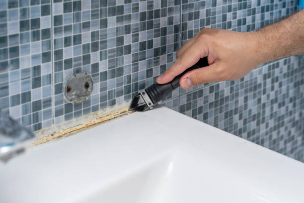 Best Bathroom Mold Remediation in North Fair Oaks, CA